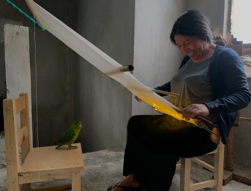 Artesanos y diseñadores “tejen la luz” Imagen